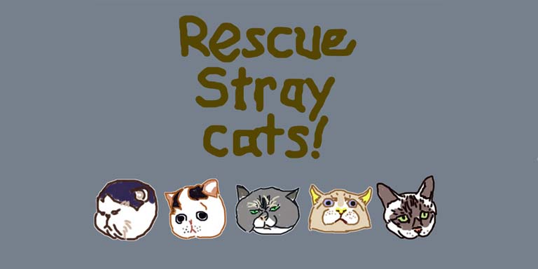 RescueStrayCats